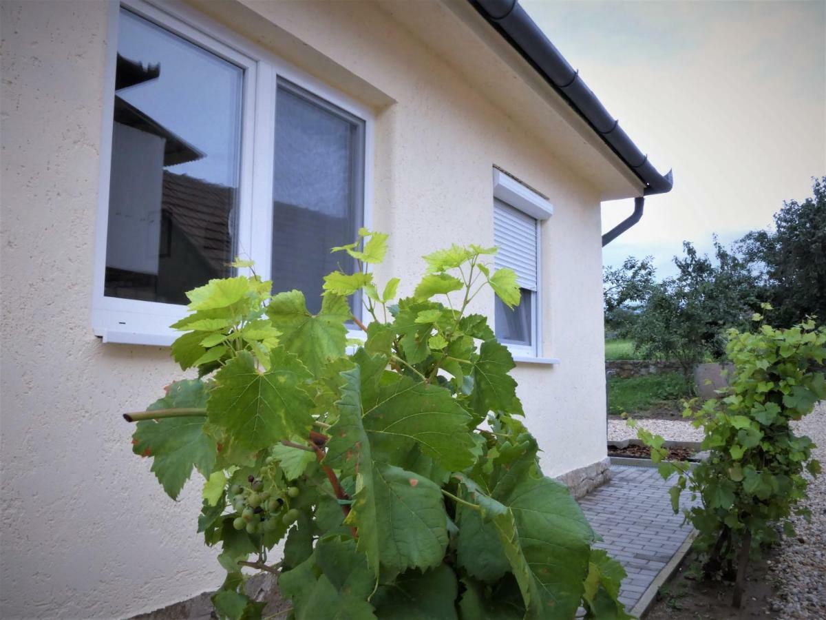Angelina Vendeghaz Appartement Tarcal Buitenkant foto